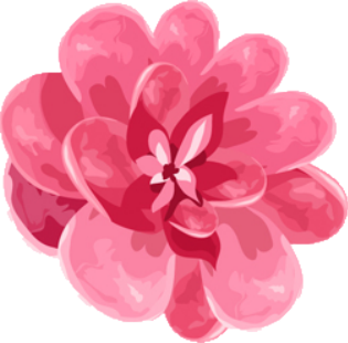 check-mark-11-5121-300x300